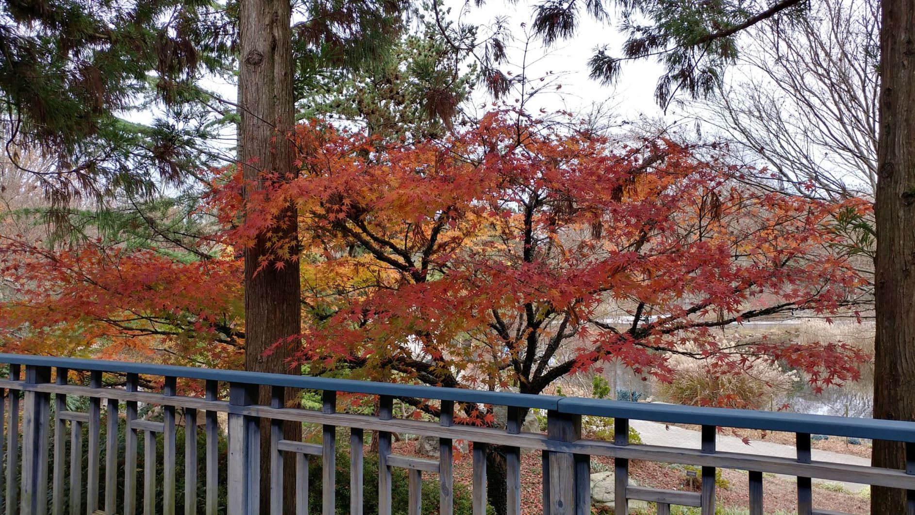 Lewis Ginter Botanical Garden